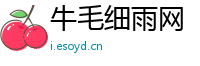 牛毛细雨网